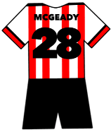 Aiden McGeady shirt
