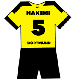borussia dortmund shirt number 5