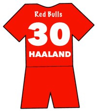 Erling Haaland shirt