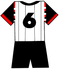 Swansea City shirt number 6