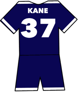 Millwall shirt number 37