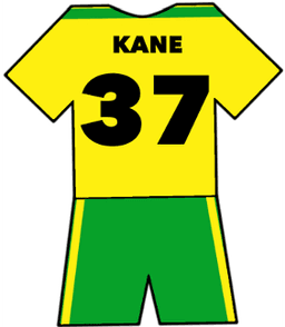 Norwich City shirt number 37