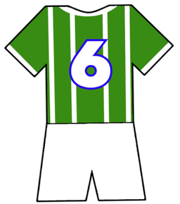 Palmeiras shirt number 6